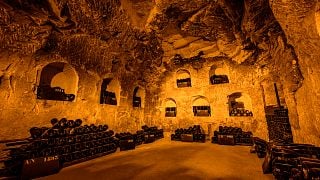 Trésor - Visita privada a la bodega y degustación