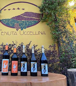 Premium vinprovning på Tenuta Uccellina