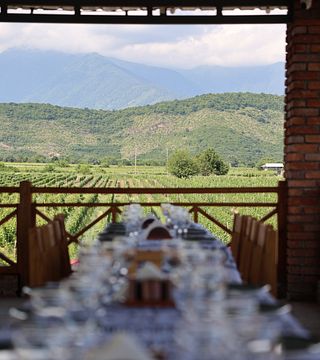VIP Wine Tasting Package