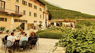 Casa Vinicola Triacca
