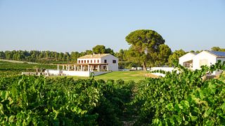Dégustation de vins à la Bodega Finca Cor Vi