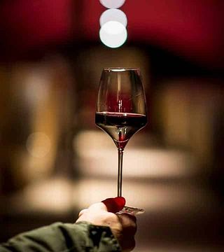 Domaine Frédéric Mabileau