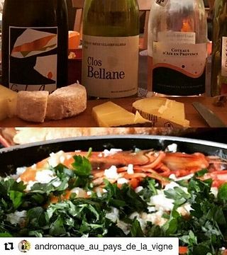 Weinprobe und Tour im Clos Bellane