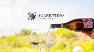 Degustazione di vini e tour al Vesuvio Sorrentino
