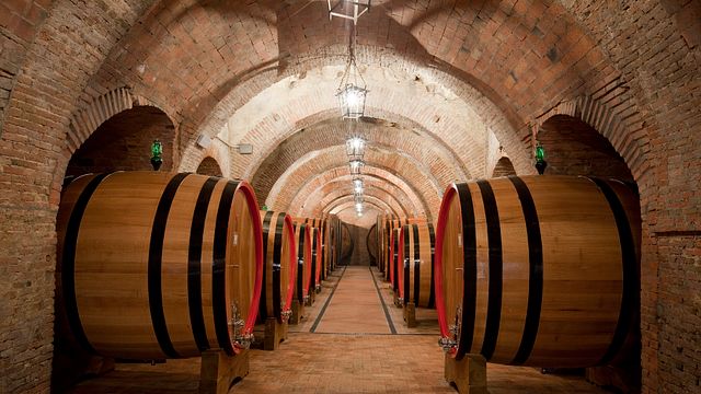 Déjeuner | Dégustation de vins et visite de la Fattoria Della Talosa
