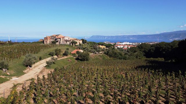 Degustação de vinhos e tour no Le Casemmatte