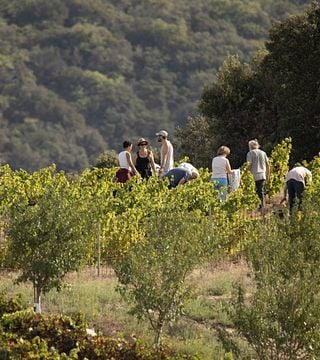 Vino e Trekking | Dominio Riberach