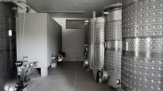Dégustation et visite de vins populaires à I Pilastri