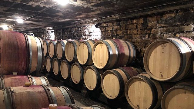 Visita y degustación en Domaine Besancenot