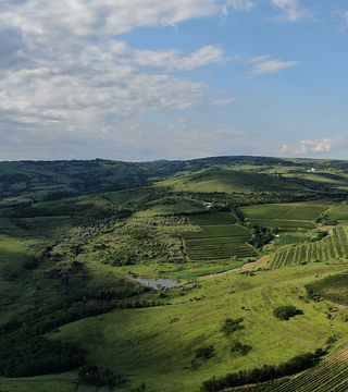 Colline verdi Giornate di fuga in bici e vino