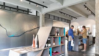 Unforgettable Wine Tasting at Georg Breuer