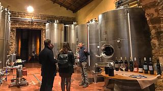 Experiencia vinícola completa en Cantine De Gregorio