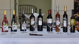 Découvrez la vinification, la production d'huile d'olive et l'extraction de liège à Vinyes dels Aspres, à l'intérieur de la Costa Brava