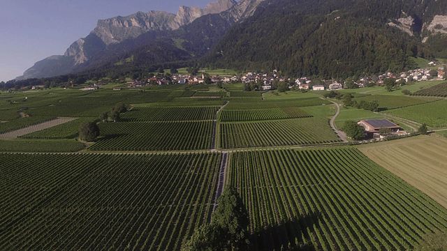 Weingut zur alten Post