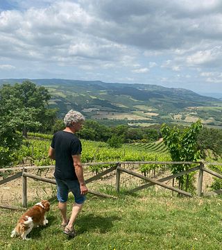 Cantina di Roberto Mascelloni