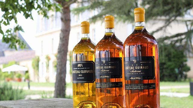 Chateau Guiraud - Winery in Bordeaux| Winetourism.com