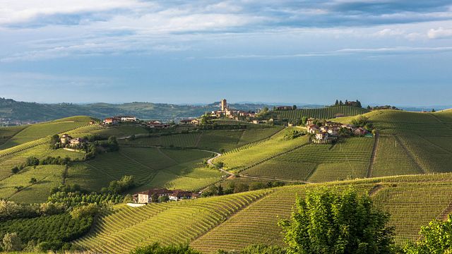 Degustação de vinhos e tour em Mauro Sebaste