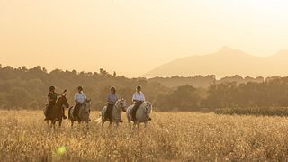 Experiência exclusiva de cavalgada