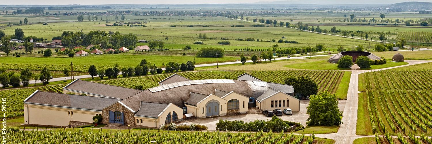 disznoko - winery