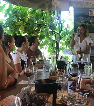 Private Chianti with Lunch Half Day from Florence