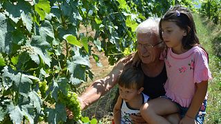 Cata de vinos y visita guiada en Vitivinicola Bellati