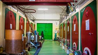Weinprobe und Tour bei Cà Bruciata