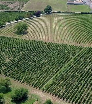 Visita y cata de vinos para toda la familia en Château Bardins