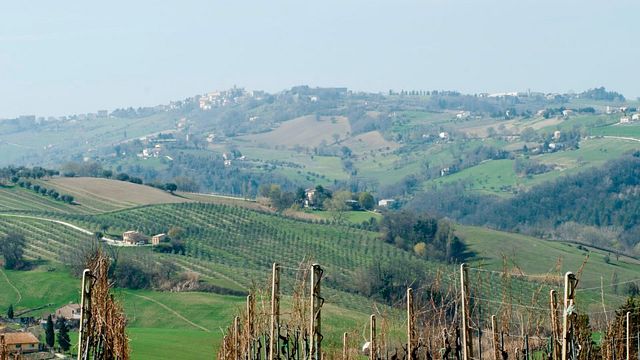Azienda Vitivinicola Brunori