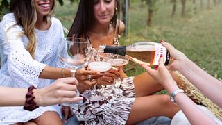 Reserva un viaje de cata de vinos con Aziendia Agricola Trevisani