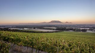 Degustazione premium di vini presso la tenuta vinicola De Grendel