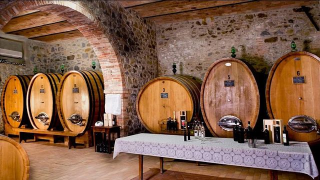 Tasting of the great red wines of Montalcino