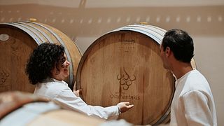 Provsmakning av 5 av de mest prestigefyllda vinerna från Diamantakis Winery