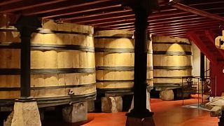 5 Degustação de Vinhos na Adega Mais Antiga de Haro