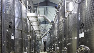 Cata de vinos y visita guiada en Gigliotto Tenute