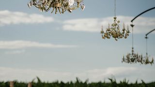 Vinprovning och matparning på Strehan Estate