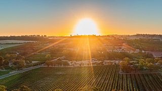 Claymore Wines: A Unique Blend of Wine, Music, and Football