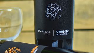 Tour di degustazione di vini presso l'azienda vinicola Kartal