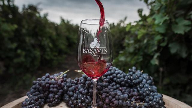 Dégustation de vins et visite de la cave Basavin