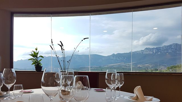 Wine Tasting and Tour at Bodegas Luis Alegre