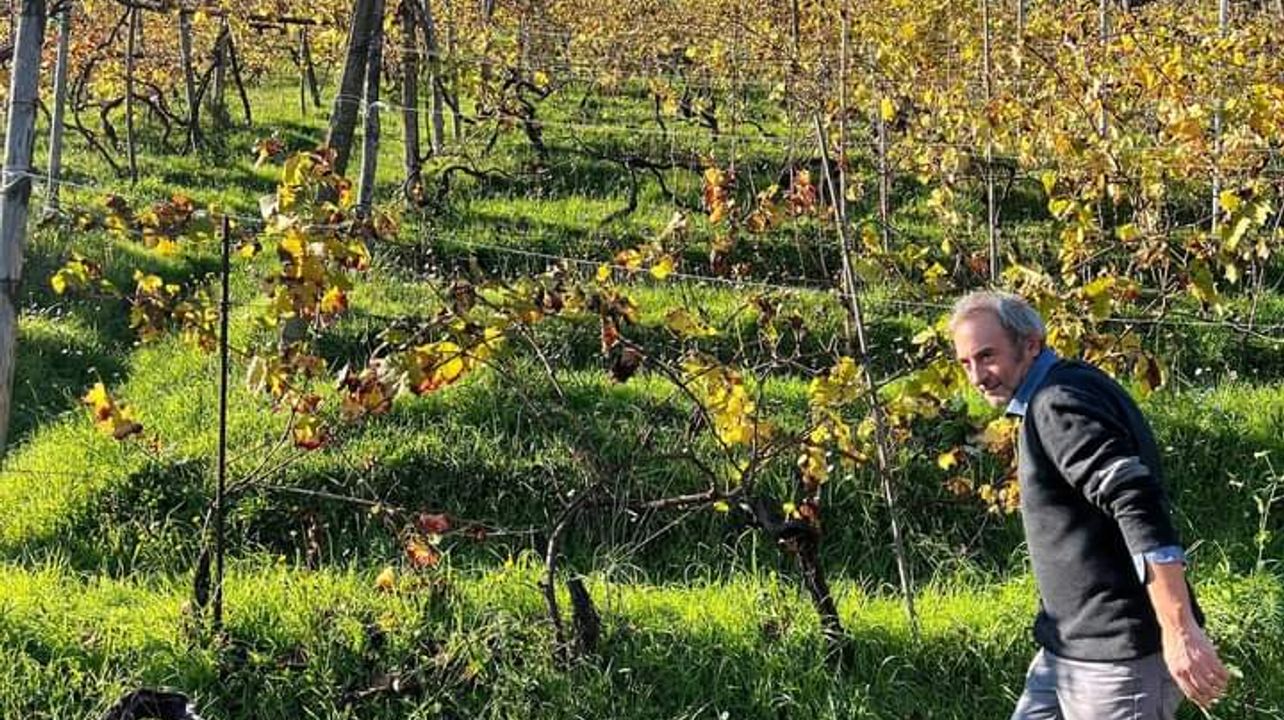 Dégustation de vins et visite chez Vini Apuani