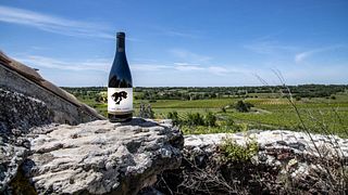 Château La Font Des Ormes
