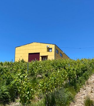 Vinprovning på Quinta do Castanheiro