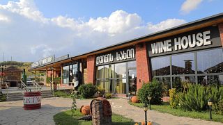 Degustazione di vini e tour popolari presso la KTW Wine House Patardzeuli