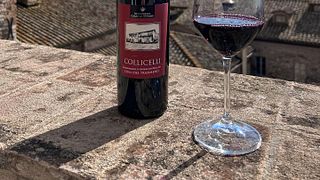Enjoy Umbrian Wines & Local Food at a Family Estate