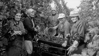 La búsqueda del justo equilibrio en la sociedad agrícola Podere Giardino