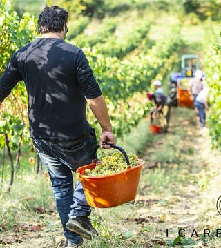 I Carpini Winery