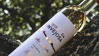 Filipe Palhoça Vinhos