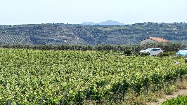 Circuit œnologique de 7 jours en Crète et à Santorin