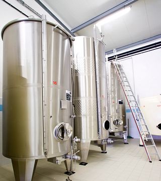 Tour pela adega e degustação de champanhe | Champagne Chapuy
