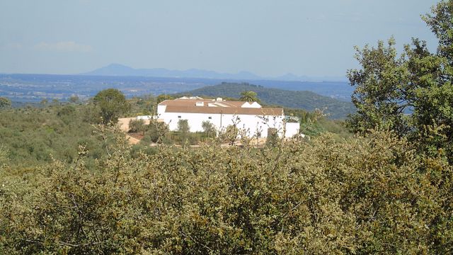 Degustazione di vini semplice presso l'azienda vinicola Azamor